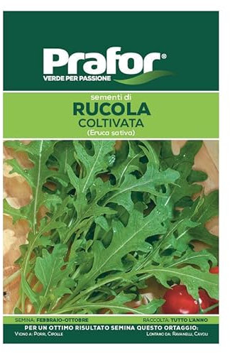 Hortus Semi prafor rucola coltivata BTS