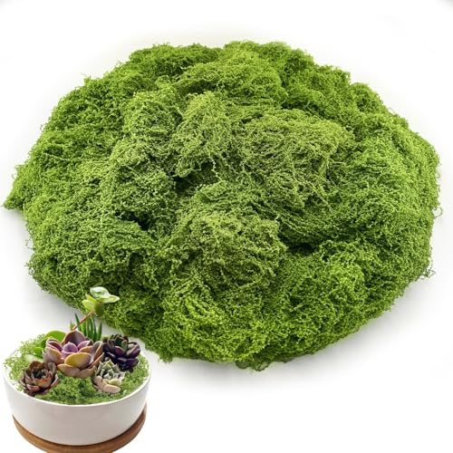 Jerhyun 200g Musgo Artificial, Musgo Natural Adecuado para Manualidades, Proyectos de Bricolaje Decoración Bonsáis (Verde Claro)