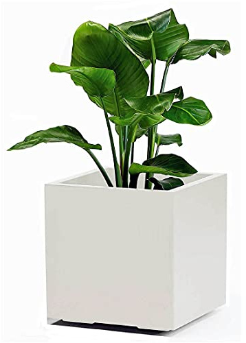 euro3plast 609401 Weiß Greener KEBE 3157.03Pflanzkasten Kunststoff