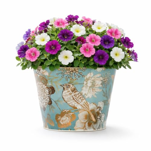 The Happy Garden Galvanised Metal Planter Pot, Rust Resistant, Ideal for Indoor & Outdoor, Decorative Vintage Plant Pot for Windowsill, Balcony, Gift for Garden Lovers (Birdie Round)