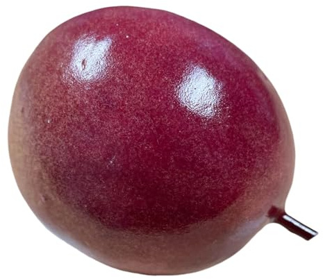 Props4shows Artificial Passionfruit
