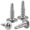 AMANDELIZABE 105 Viti Autofilettanti in Acciaio Inox, M4.2 x 16 mm, Testa Phillips, Per Lamiera, Alluminio, Legno