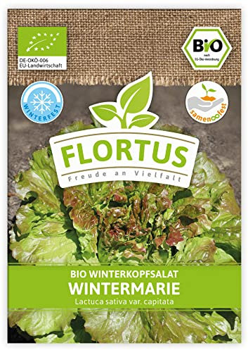 FLORTUS BIO Winterkopfsalat Wintermarie | Gemüsesamen | Salatsamen | Kopfsalatsamen | Wintergemüse | Samen zur Anzucht für Garten, Balkon, Küche & Fensterbank