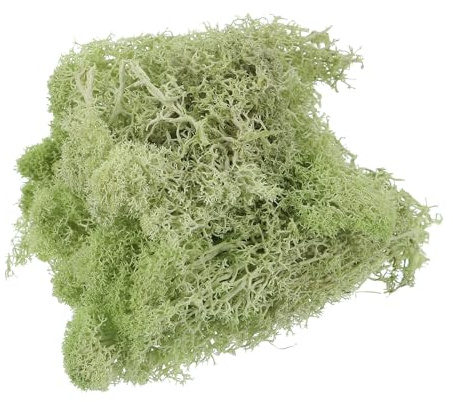 sourcing map 0.35 OZ Moss Fake Craft Moss Artificial Moss Natural Preserved Moss for Craft Arts Floral DIY Project Wall Wedding Garden Patio Table Terrariums Decoration(Chartreuse)