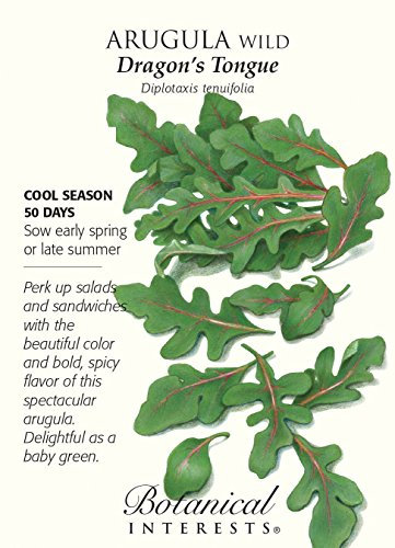 Portal Cool Semi di Rucola Selvatica Zunge Drachen - 500 MG