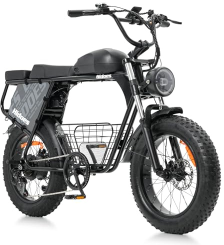 Hidoes B9 Dual Battery Electric Bike Adults,Mountain E-bikes
