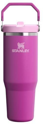 STANLEY IceFlow 2.0 Flip Straw Tumbler with Handle 30 oz | Twist On Lid and Flip Up Straw | Leakproof Water Bottle | Insulated Stainless Steel | BPA-Free | Dark Blossom