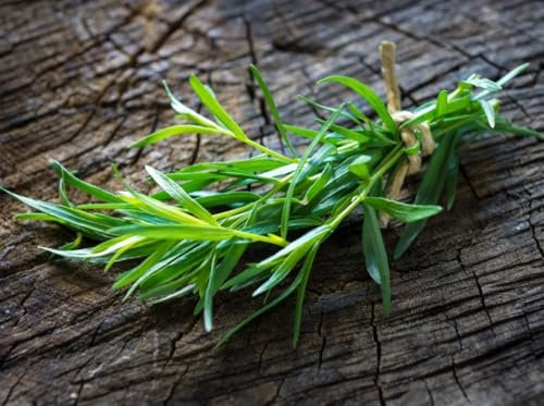 Semi di erba aromatica dragoncello graines d’estragon Semillas de estragón Estragon-Samen tarragon seeds