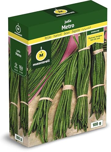 Mascarell Semillas, JUDÍA METRO, Semillas Leguminosas, Fácil de Cultivar en Casa, 100 G.