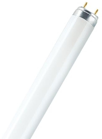 WatioWave Tubo fluorescente T8 18W 3000K 590mm, ideal para iluminación eficiente en oficinas y hogares.
