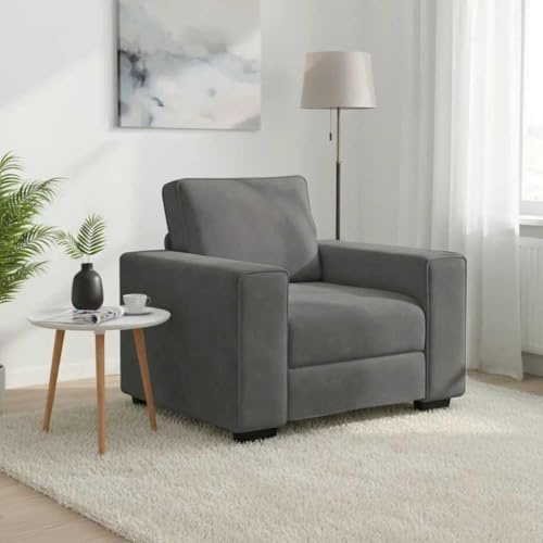 ROMHZKS Poltrona per divano in velluto moderno, XXL, con cuscino imbottito e struttura in metallo, per soggiorno, camera da letto, ufficio