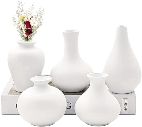 Mini vasi in ceramica bianca 5 piccoli vasi per decorazione da tavolo, mini vaso in ceramica, bianco opaco, moderno vaso bianco per fiori, erba della pampa, soggiorno, ingresso e decorazione da tavolo