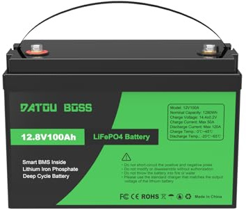 DATOUBOSS LiFePO4 litiumbatteri 12 V 100 AH integrerad BMS 100A upp till 8000–15 000 cykler, maximal utgång 1280 Wh, perfekt för husbil, solpanel, husvagn, båt, off-mesh-system