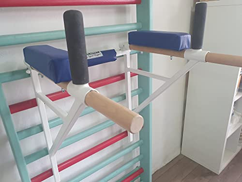 ARTIMEX Appareil à dips attachée à l'espalier - utilisée dans Les Maisons, Les gymnases ou Les centres de Fitness pour l'entraînement et Le Fitness, Code 270 (Blanc)