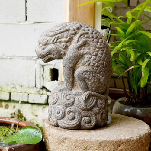 ZYZSY Cracheurs d'étang, Fontaine de Jardin en Plein air Gargouille, Sujet Cracheur pour Donner Vie à Votre Bassin de Jardin, pour fontaines décoratives, fontaines d'eau, bassins