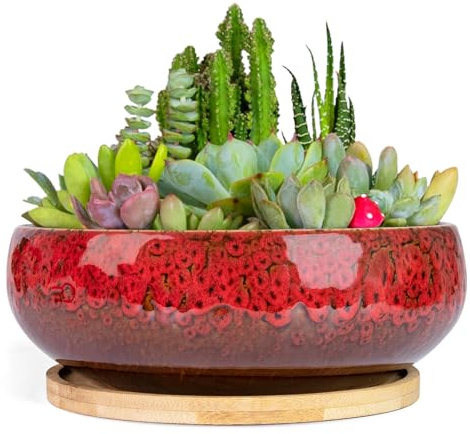 ARTKETTY Succulent Pots - 20 CM Large Succulent Planters Ceramic Bonsai Pot with Drainage Tray for Indoor Plants Garden Decorative Cactus Flower Plant Container Bowl