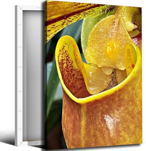 Tropical Pitcher Plant Bathroom Canvas Wall Art Decor Framed Photo Prints Picture for Bedroom Living Room Office Kitchen Posters Painting Artwork
