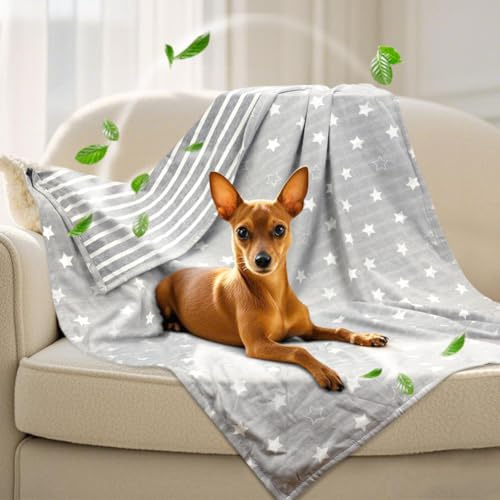 Coperta rinfrescante per cani, leggera, autoregolante, per cani di taglia piccola e media, lavabile, per cani e gatti, coperte estive in seta ghiacciata per animali domestici, per casse e cucce