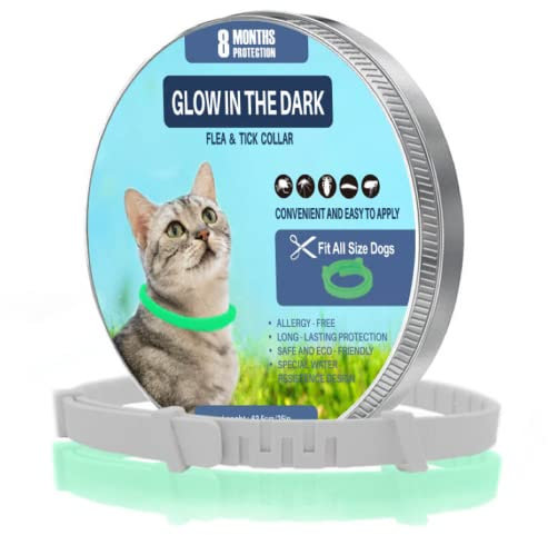 Zeckenhalsband für Katzen und kleine Hunde | Leuchtendes Präventionshalsband gegen Parasiten mit bis zu 8-Monatigen Schutz | Fluoreszierendes Halsband universell auf Jede Größe verstellbar