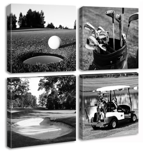 DJSYLIFE Golf Course Wall Art Black and White Canvas Prints 12X12X4