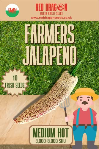 Farmers Market Jalapeno Chilli Seeds - 10 Fresh Market Farmers Jalapeno Seeds