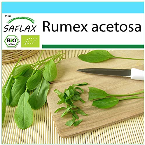 SAFLAX - Presentförpackning - Ekologiskt - Sorrel - 400 Frön - Med presentförpackning, kort, etikett och pottsubstrat - Rumex acetosa
