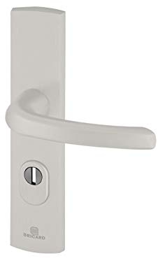 Bricard 9920171 Ensemble de Poignées Blindées sur Plaque EMUST Béquille pour Porte d’Entrée (pour Cylindre Européen), Coloris Argent