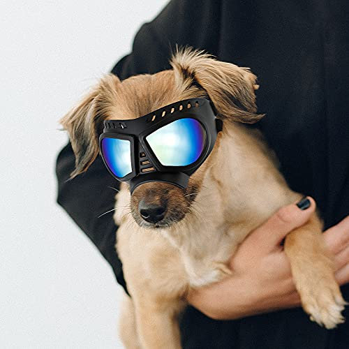 Enjoying Kleine Hundebrille, Anti-UV-Hunde-Sonnenbrille, Weiche Haustier-Motorradbrille, Beschlagfrei, Winddicht, Bruchsicher, Hundebrille für Kleine bis Mittelgroße Hunde, Blau