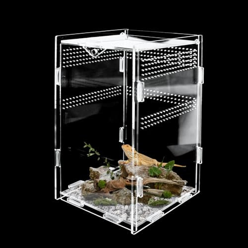 Acryl Terrarium, Terrarium Spinne, Aufzuchtbox und FüTterungsbox 12 x 12 x 20 cm, Ideal für Reptilien und Kleintiere Fütterung
