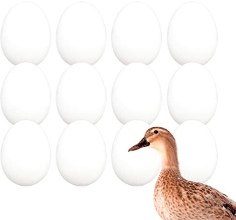 FINCA CASAREJO Pack Huevos de Pato - Huevos Falsos macizos de Color Blanco (12)