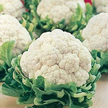 cavolfiore semi (50 per confezione):Semi