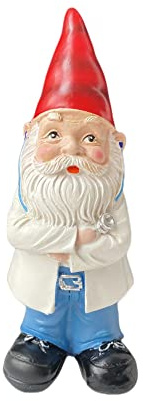 molchagar Doctor Garden Gnome Statue, Gnome Decor Doctor Gifts for Men, Indoor or Outdoor Decoration Figurine Yard Art Lawn Ornaments…