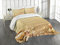 ABAKUHAUS Strand Tagesdecke Set, Sand mit Muscheln, Set mit Kissenbezügen Maschienenwaschbar, für Doppelbetten 220 x 220 cm, Sand Brown Coral