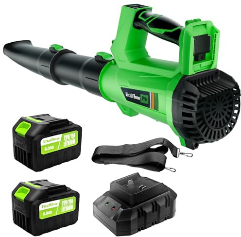 Souffleur électrique sans fil, 540 CFM/170 MPH alimenté par batterie avec batterie 2 x 6,0 Ah et chargeur – Souffleur sans fil léger pour l'entretien de la pelouse, le nettoyage de la terrasse, le