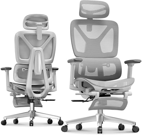 FLEXISPOT ErgoX Premium Ergonomic Office Chair with Footrest- Adjustable 3D Armrests, Dynamic Lumbar Support, Recline & Tilt Function, Mesh Seat, for Home & Office Use,Light Grey
