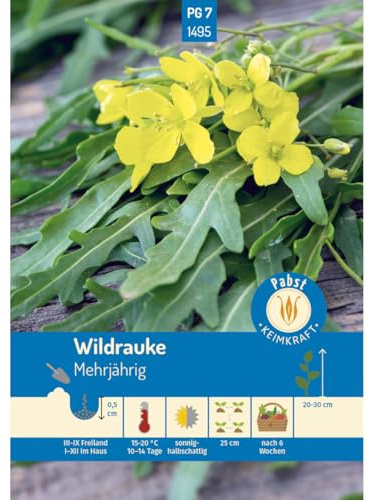 Pabst Keimkraft - Wildrauke Rucola Samen - 171495