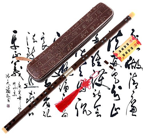 Professionelle Flöte Dizi, NICOSHINE Chinesisches Instrument im Alter von Palisander Dizi D Key