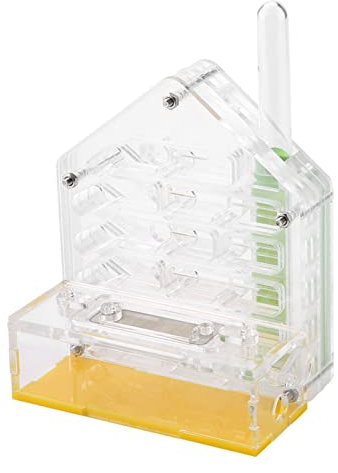 Bauernhof Die Ameisenfarm Lebt 12×11×8 Acryl-Ameisenvilla-Bauernhaus Formicarium Zur Ameisenfütterung