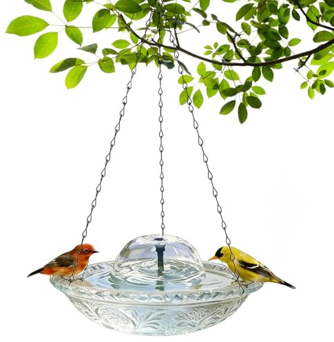 Bain D'Oiseaux Avec Fontaine Alimenté par USB avec chaîne métallique