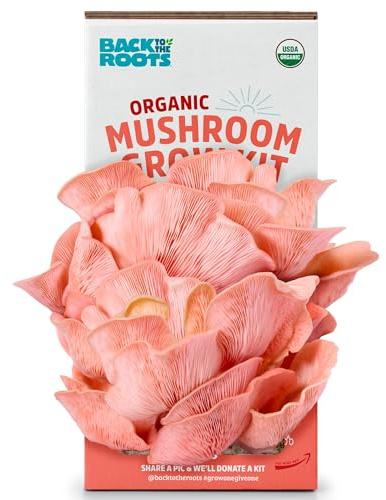 Back to the Roots Organic Pink Mushroom Grow Kit, Harvest Gourmet Mushrooms In 10 Days