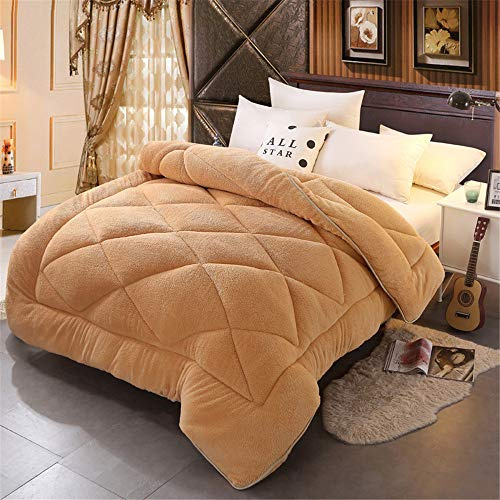 LINGKY Couette/Couette en Velours d'agneau à Double Face épaississante pour l'hiver, 100% Microfibre Et Poids De Remplissage 3000 G, Respirante Et Agréable pour La Peau (Chameau,180x220cm 3.0kg)