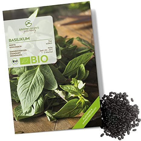 Bio Thai Basilikum Samen - Küchenkräuter Saatgut aus biologischem Anbau ideal für den heimischen Kräutergarten, Balkon & Garten (250 Korn)