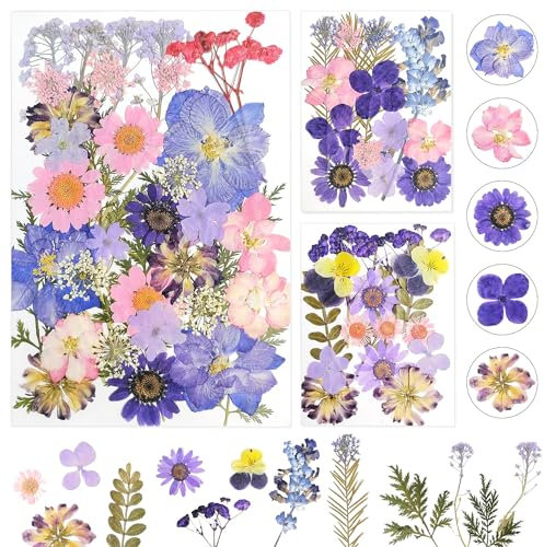 3 Sheets of About 56PCS Assorted Dried Flowers for Crafts Set Pressed Flowers and Leaves Dry Flowers Perfect for Resin Art DIY Crafts Scrapbooking Projects (Purple)