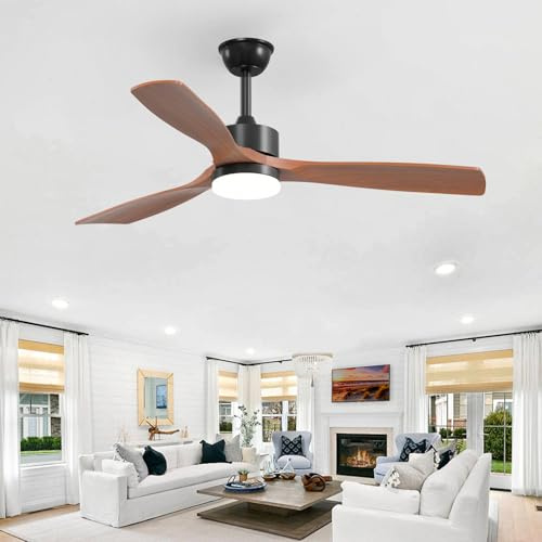 Passky Ventilatore da soffitto con illuminazione e telecomando, ventilatore da soffitto con luce, 3 pale, motore DC, 132 cm, nero