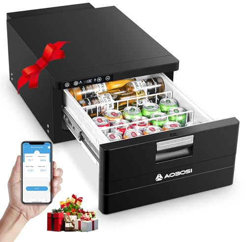 AAOBOSI 31L Schublade Kompressor Kühlbox, Wohnmobil Kühlschrank mit APP-Steuerung, 12/24V, Kompressor Kühlschrank, bis -20℃ Kühlschublade für Auto, LKW, Boot, Reisemobil, Camping und Reisen