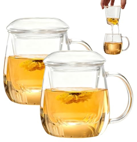 GBKDQQ 2 tazze da tè con coperchio e colino, bicchiere da tè tutto in uno, 500 ml, tazze da tè in borosilicato resistente al calore, facili da pulire per casa e ufficio
