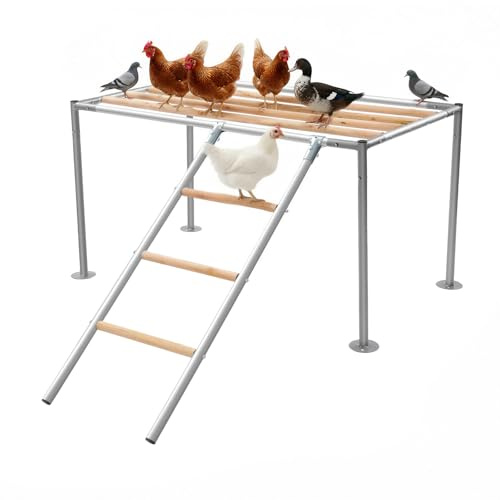 Hönsstång, hönshus, lekset, sittstänger med stege och viloplatform