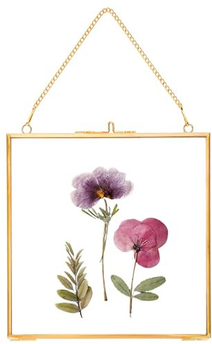 REDHUGO Glass Pressed Flower Frames,Vintage Hanging Picture Frames with Chain,Handmade Brass Floating Picture Frame,Plant Specimen Wall Ornament Display Artwork DIY Family Photo,Square,Gold