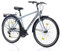 Toys Store GmbH 28 Alu Fahrrad 28 Zoll Herren Jugenrad 21Gang Schaltung Herren Citybike Cityfahrrad STVO Nuptse