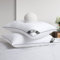 BedStory - Oreiller de Hotel 60x60, Lot de 2, Oreiller de Confort en Microfibre de Haute Qualité, Passepoilé Gris, Certifié OEKO-TEX